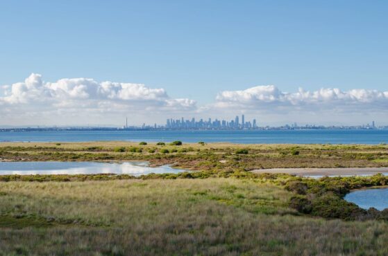 Geotechnical Investigations for Wetlands